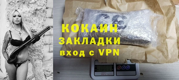 соль ск Алексин