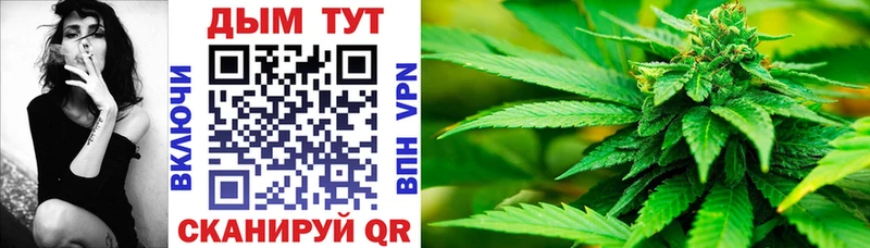 Каннабис индика  дарк нет формула  Биробиджан 